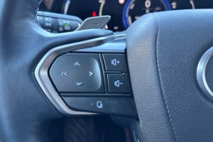 LEXUS NX450 PLUG-IN HYBRID - 2024год / 72000km 24