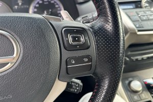 LEXUS NH 300H 2.5 HYBRID F-SPORT - 2017год / 121720km 25