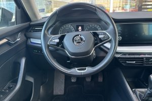 SKODA OCTAVIA 2.0TDI DIESEL - 2023год / 106739km 11