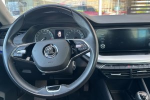 SKODA OCTAVIA 2.0TDI DIESEL - 2023год / 106739km 13