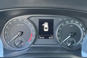 SKODA OCTAVIA 2.0TDI DIESEL - 2023год / 106739km 14