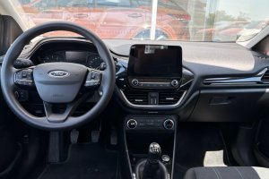 FORD FIESTA 1.1 PETROL - 2019год / 120249km 10