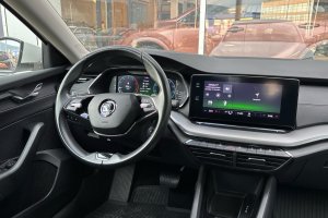 SKODA OCTAVIA 2.0TDI DSG DIESEL - 2022год / 115865km 13